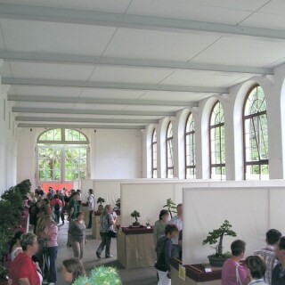 bonsai-ausstellung-01