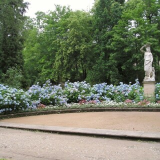 schlosspark-pillnitz-03